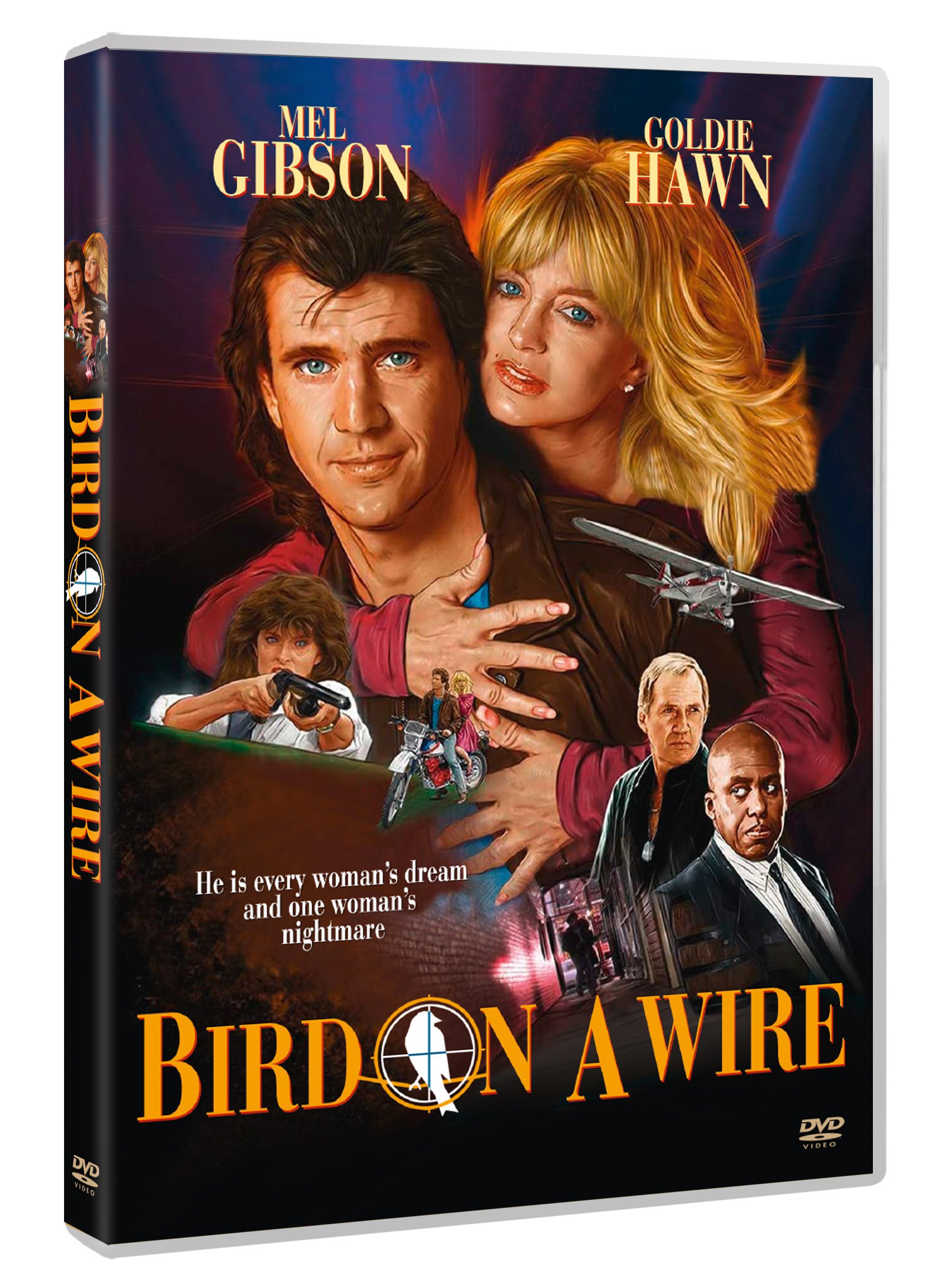 Estrategias para combinar música y letra en Birds on a Wire